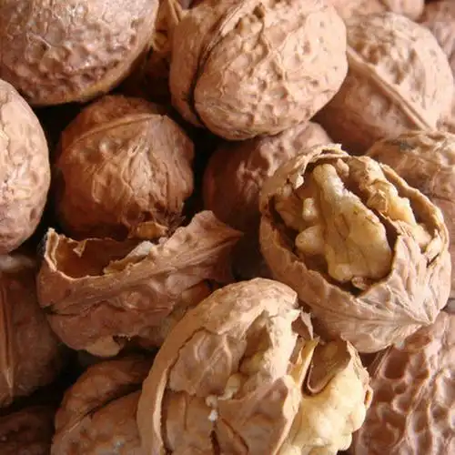 核桃从外到里都是宝