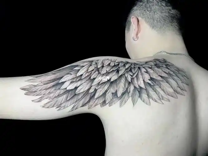 广州纹身师推荐  #中山纹身 #珠海纹身  #深圳纹身   #翅膀纹身