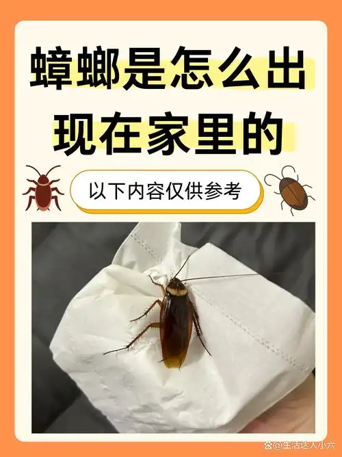 蟑螂是怎么出现在家里的