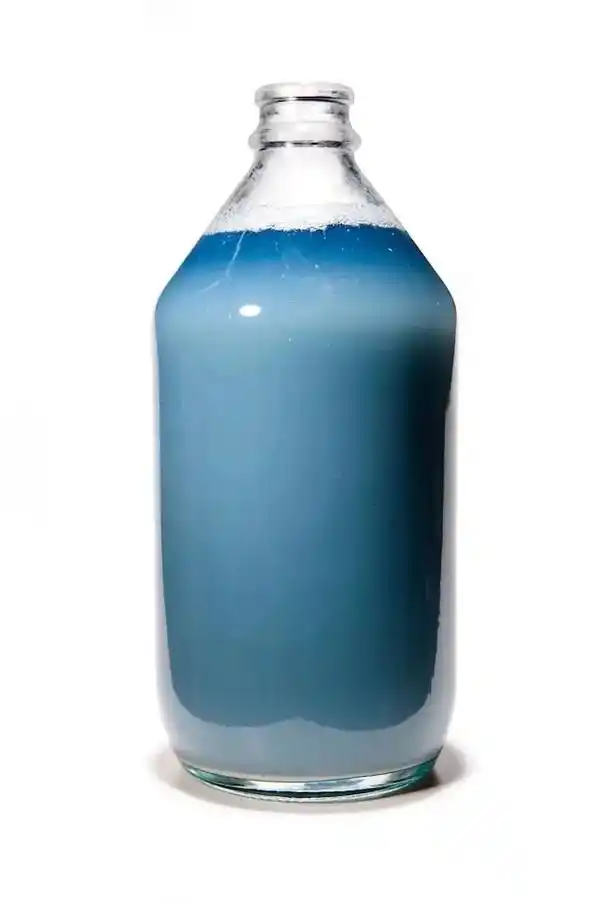 鲎独一无二的"蓝色血液" 种群痛苦的一生.几乎全球制药公司生 - 抖音