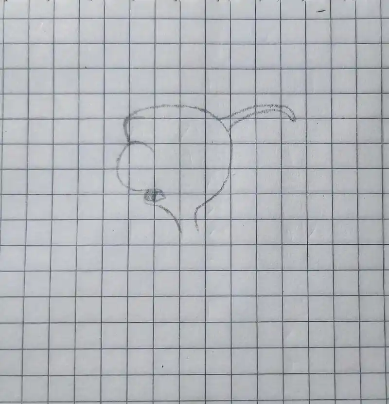 双面龟.#临摹 #画画 #手绘 #小鲤鱼历险记#双面龟  熬 - 抖音