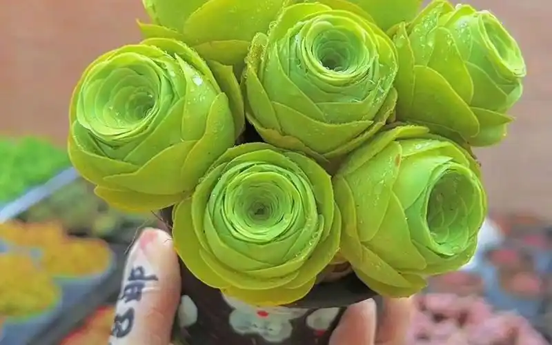 酒杯玫瑰#多肉植物#多肉植物基地#酒杯玫瑰#山地玫瑰#多肉植物基地