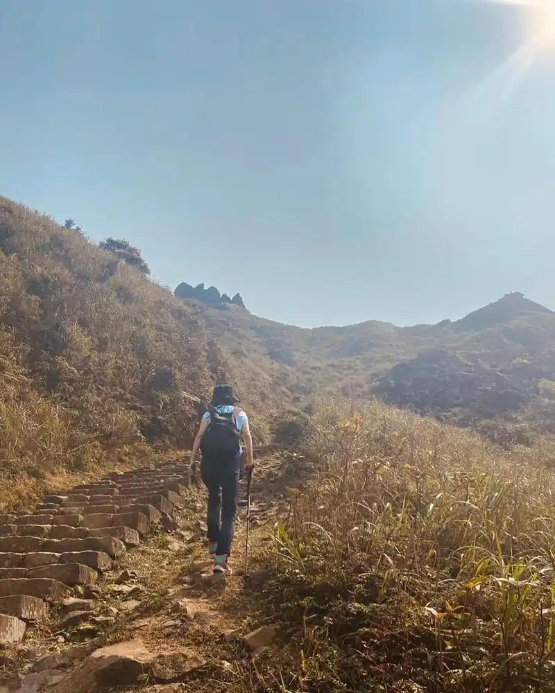 田馥甄晒爬山踏青美照 扎双麻花辫戴墨镜笑容甜美