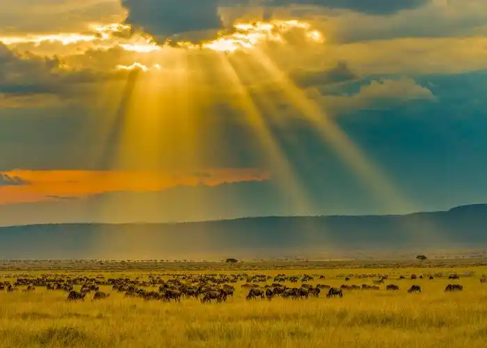 肯尼亚风光掠影之六