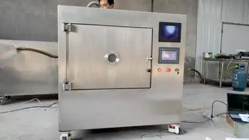 香蕉低温真空微波干燥箱快速定型干燥水果设备