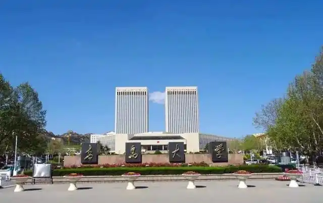 青岛大学保研数据