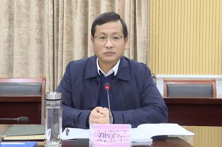 在红安分会场,红安县委书记刘堂军作交流发言,副县长彭杰以及相关部门