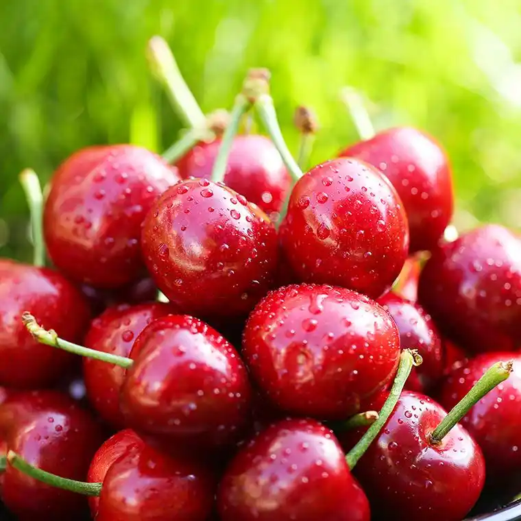 樱桃的营养价值详解