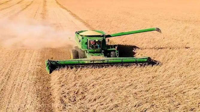 美国机械化收获大豆,粉碎脱粒一气呵成,一个小时收割75亩_网易视频