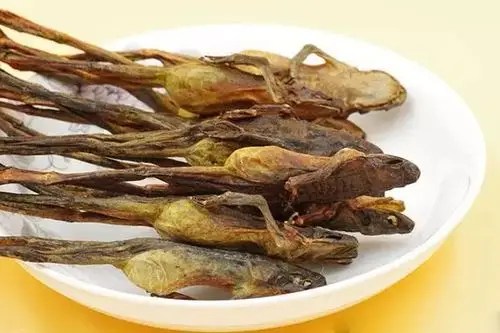 与熊掌猴头飞龙并称长白山四大山珍雪蛤