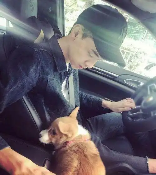 出门开路虎保时捷出道没半年就被曝富二代人设是假家中欠款被追债