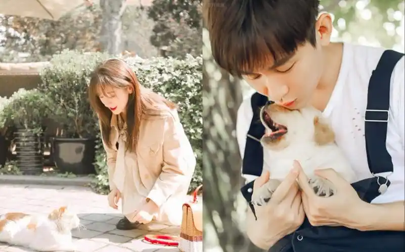 【成毅】【袁冰妍】【十一世】这现代剧可不就有了嘛,十一世搞快点!