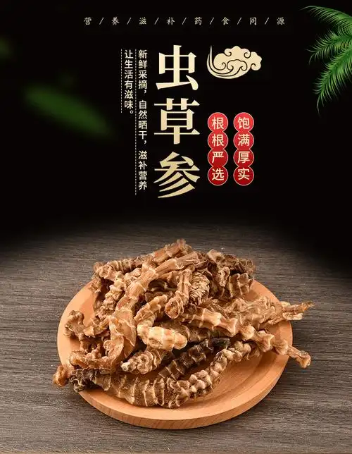 虫草参 顶天柱批发云南原产地地参 虫草参 地参干货 品格规格齐全