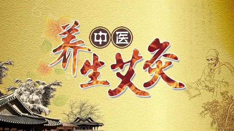 中医养生艾灸ppt模版讲课教案ppt