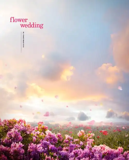 紫色花海风景背景图片素材