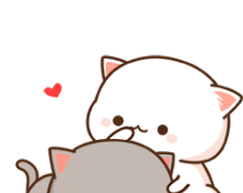 蜜桃猫超可爱表情动图