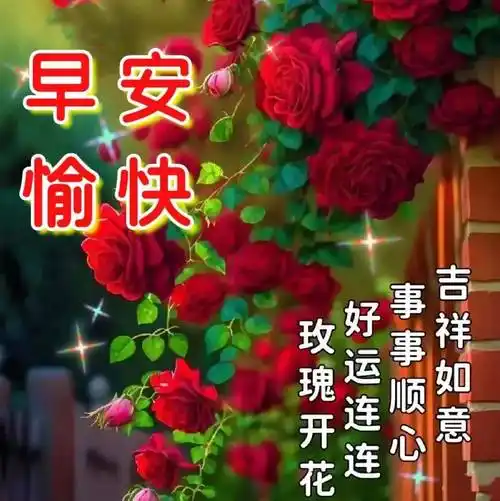 温馨的大家早上好问候语图片精选_心情_朋友_未来