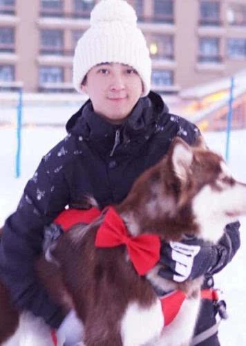 王思聪晒滑雪照帅呆 自嘲:为冬奥会训练中图