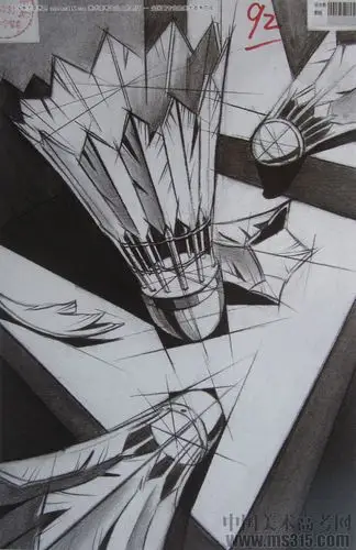 2015年四川美术学院设计素描高分卷6