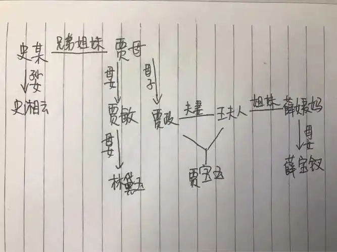 林黛玉,薛宝钗,史湘云,她们和贾府是怎样的关系?