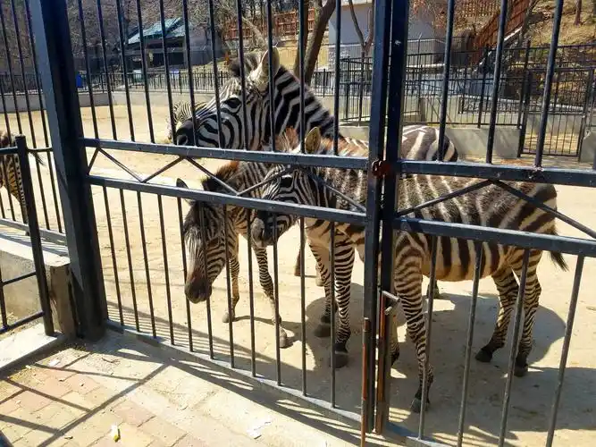 烟台南山动物园