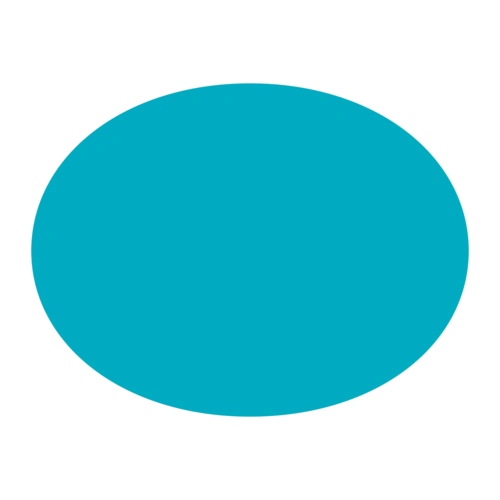 扁平风格的 椭圆 图标