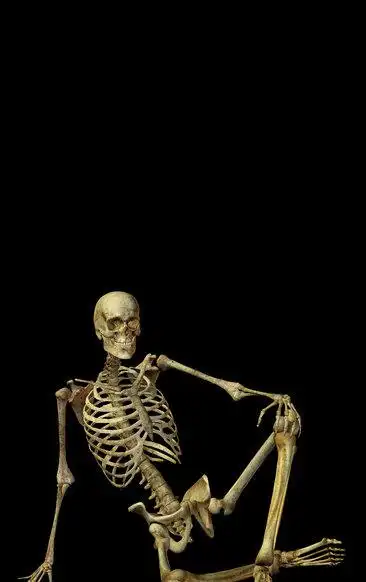骷髅骨架元素