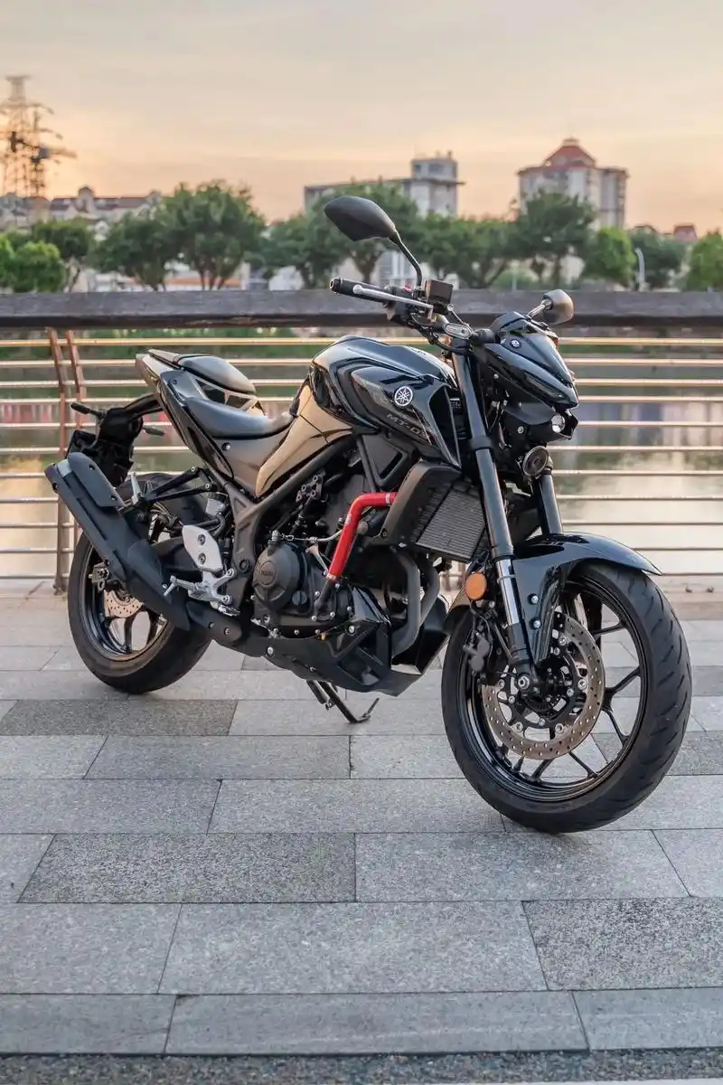 车型:23年雅马哈mt03 公里:3819公里(两手) 简介