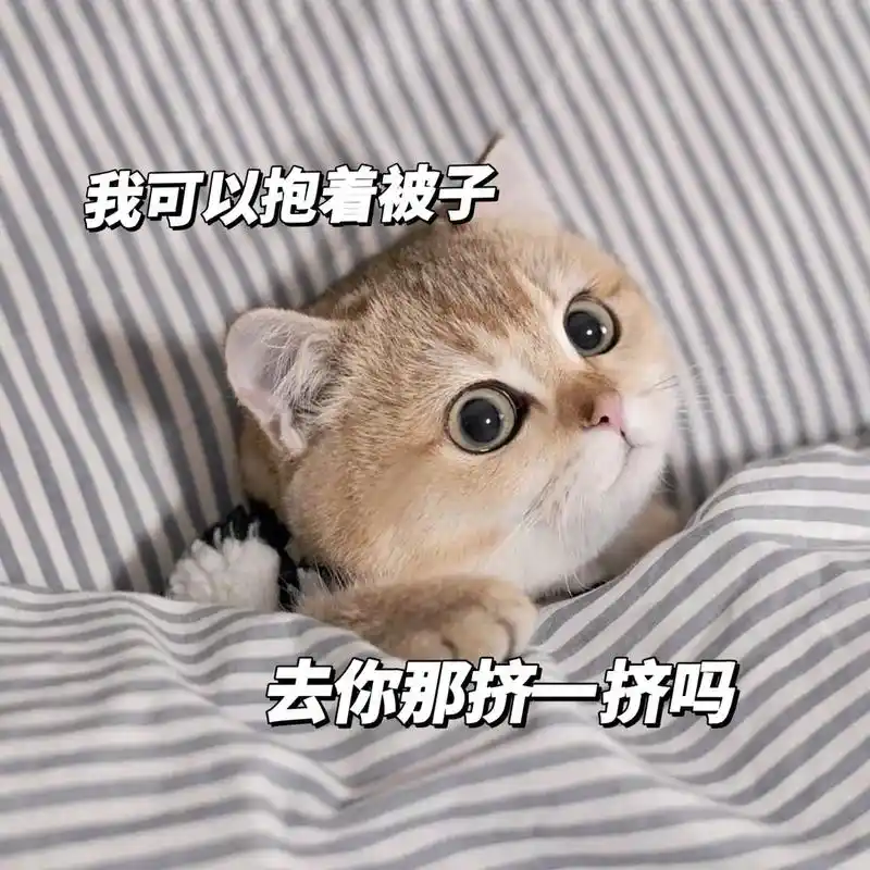 没有对象的觉我睡不明白 #快艾特你对象来看吧 #表情包 #情侣日常