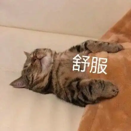 舒服(猫咪表情包)_猫咪_舒服表情