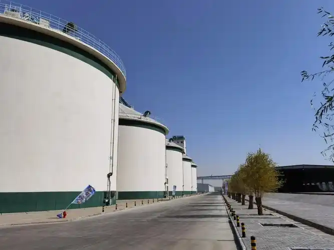 中储粮-公众开放