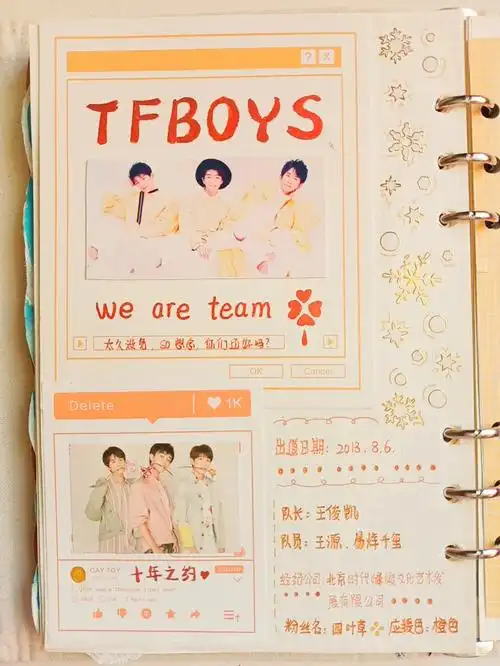 tfboys追星手帐05