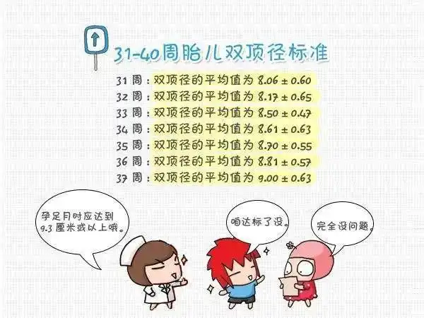 足月胎儿双顶径是多少送你1份标准偏大偏小用这4个因素自查