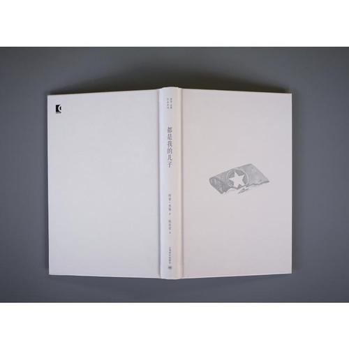 都是我的儿子(精)