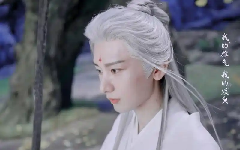 白发bjd娃娃纯享版 || 应渊x成毅