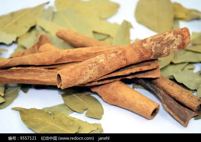 桂皮香叶