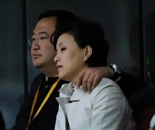 杨澜:我与他早无爱,倘若在一起只会徒增伤悲,对双方都不公平_张一兵