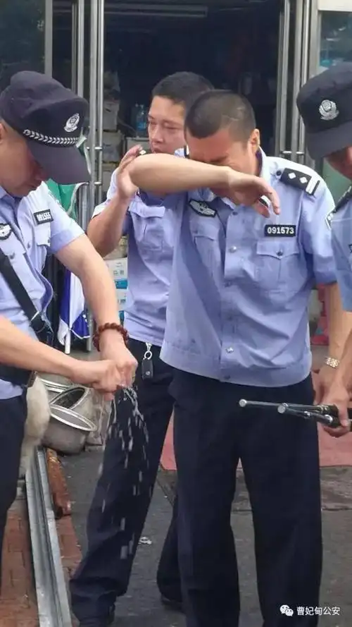 【创城】严格执法,绝不姑息!长丰路绿化带犬舍被强力拆除!