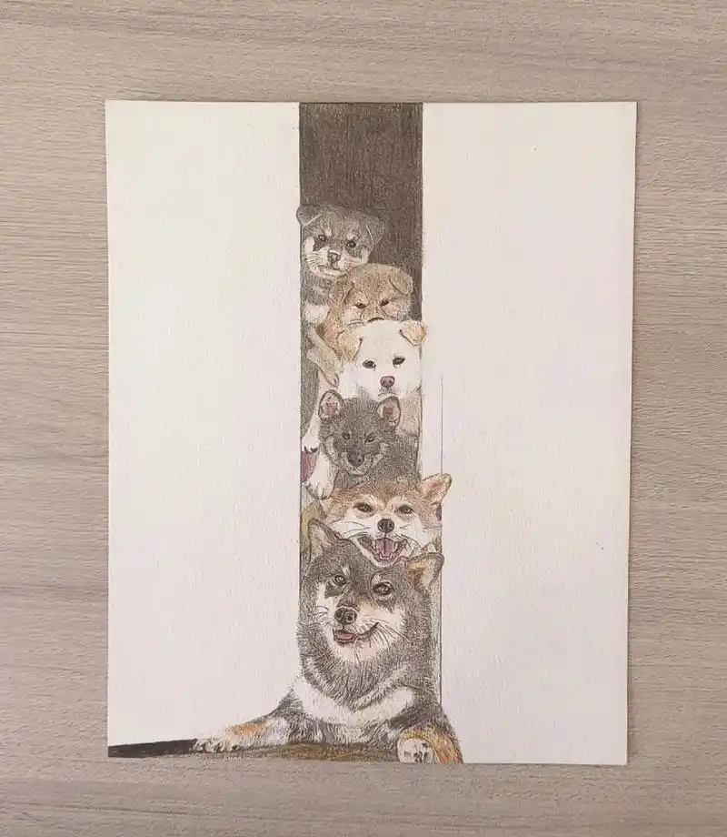 柴犬#柴犬全家福#绘画#彩铅#水彩 - 抖音