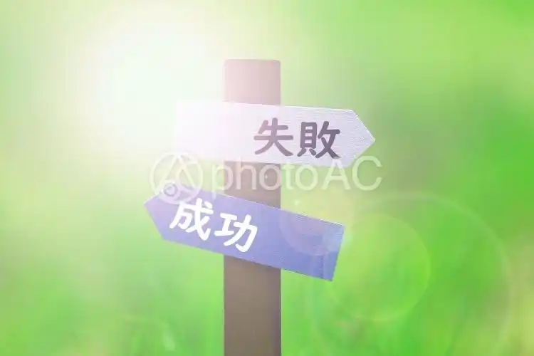 照片素材(图片): 成功或失败图像素材