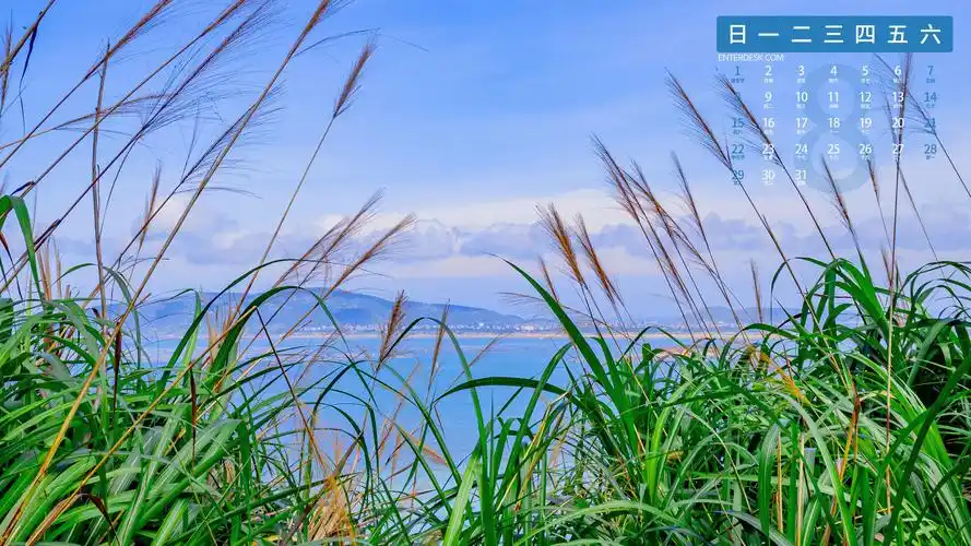 2021年8月蓝色大海日历