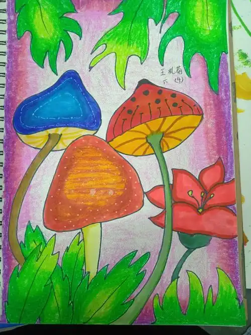 铭画坊钟山区二小三至六年级《蘑菇》