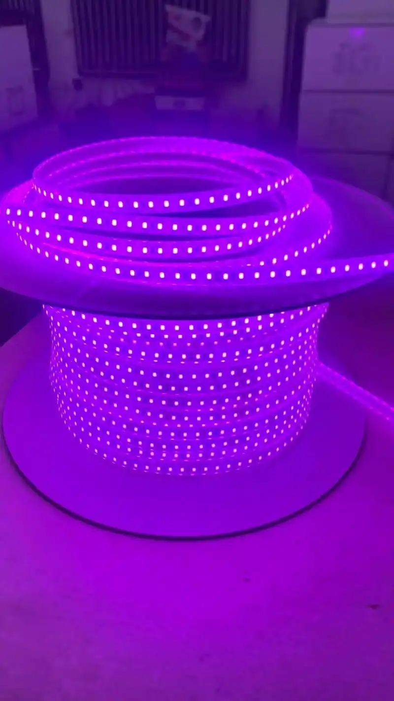 低压灯带工厂供应