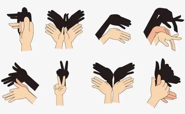 绘本阅读《爸爸的手影戏》—会昌幼儿园小四班第十五周成长足迹