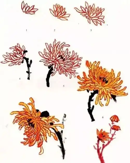 图文教程:菊花的写意画法