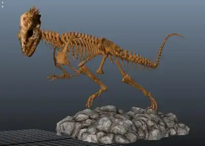 肿头龙 古生物化石 恐龙博物馆 地质博物馆 恐龙化石骨架 3d模型 史前