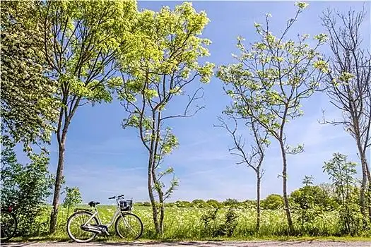 踏青图片_踏青图片大全_踏青图片素材