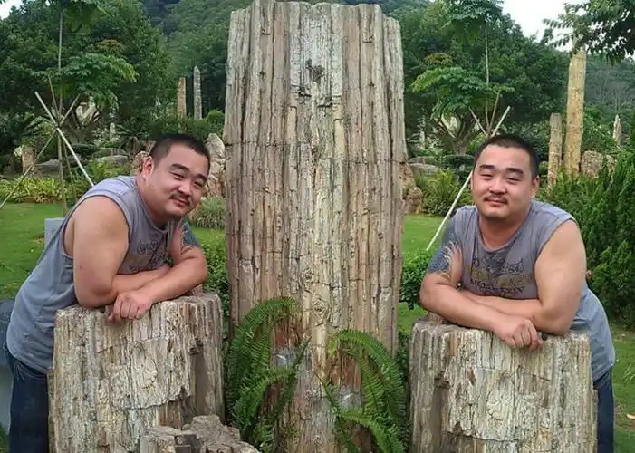 熊影艺术(7)熊陌路 - 胡子爷们 - 胡子爷们