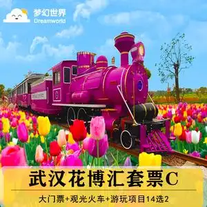 [武汉花博汇-大门票 观光火车 游玩项目14选2]即买即用摩天轮高空飞翔