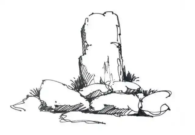 看了这么多园林假山,你真的分得清楚吗?